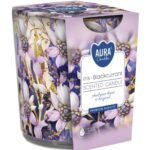 Aura Bispol Iris Blackcurrant vonná sviečka 100g