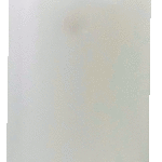 Kahanec náhrobný olejový 100g biely WP1