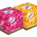 Linteo Elite vreckovky 3-vrstvové 60ks box